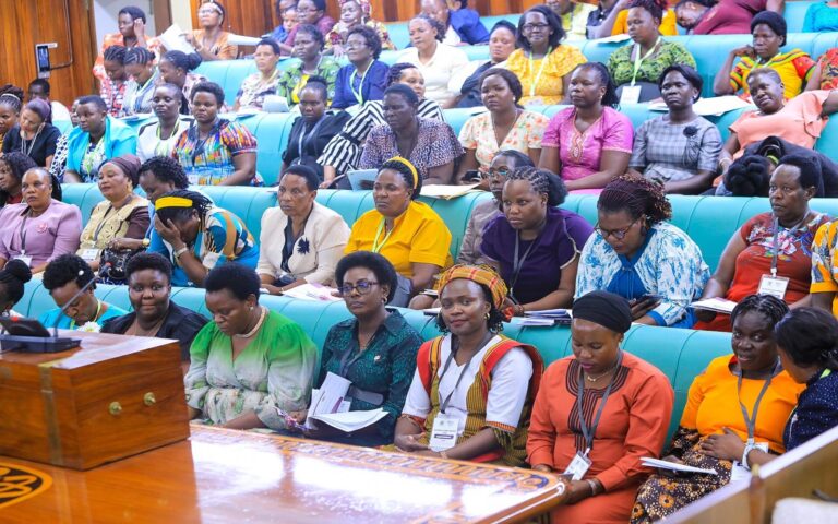 Women want 30% of local gov’t contracts ring fenced for them