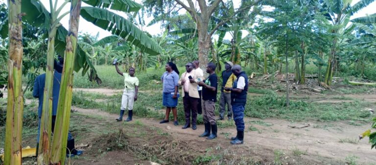 Buganda signs deal to supply Gonja to Sumz