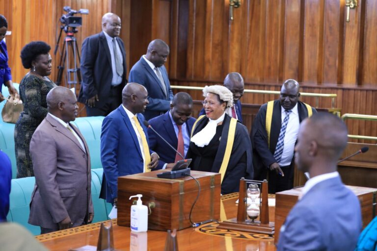 MPs waive stamp duty on agreements, impose new tax on hides and skins exports
