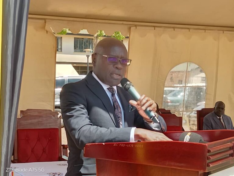 EC sets February 4 as polling day for postponed local government elections