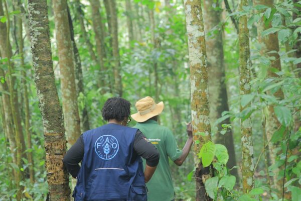 Uganda receives $31 million from Green Climate Fund for climate project