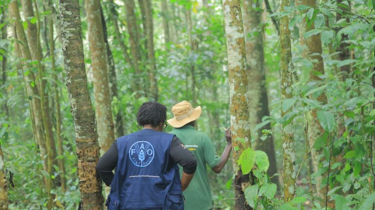 Uganda receives $31 million from Green Climate Fund for climate project