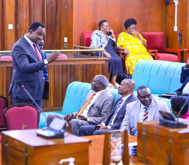 Parliament orders compensation of family whose child was snatched by baboon