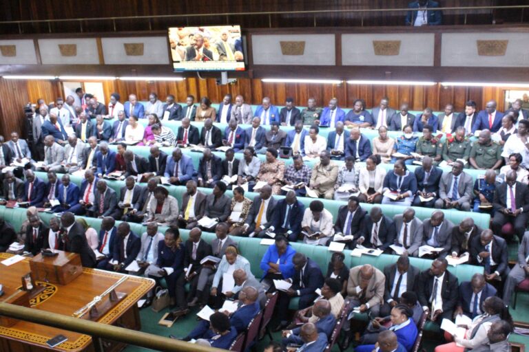 MPs approve €168m loan as government plans more irrigation projects
