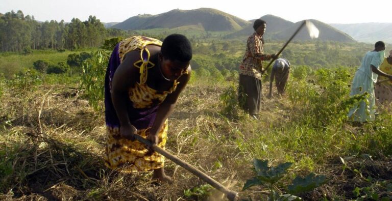 Women Land Rights: Bridging the gap between law and reality in Uganda